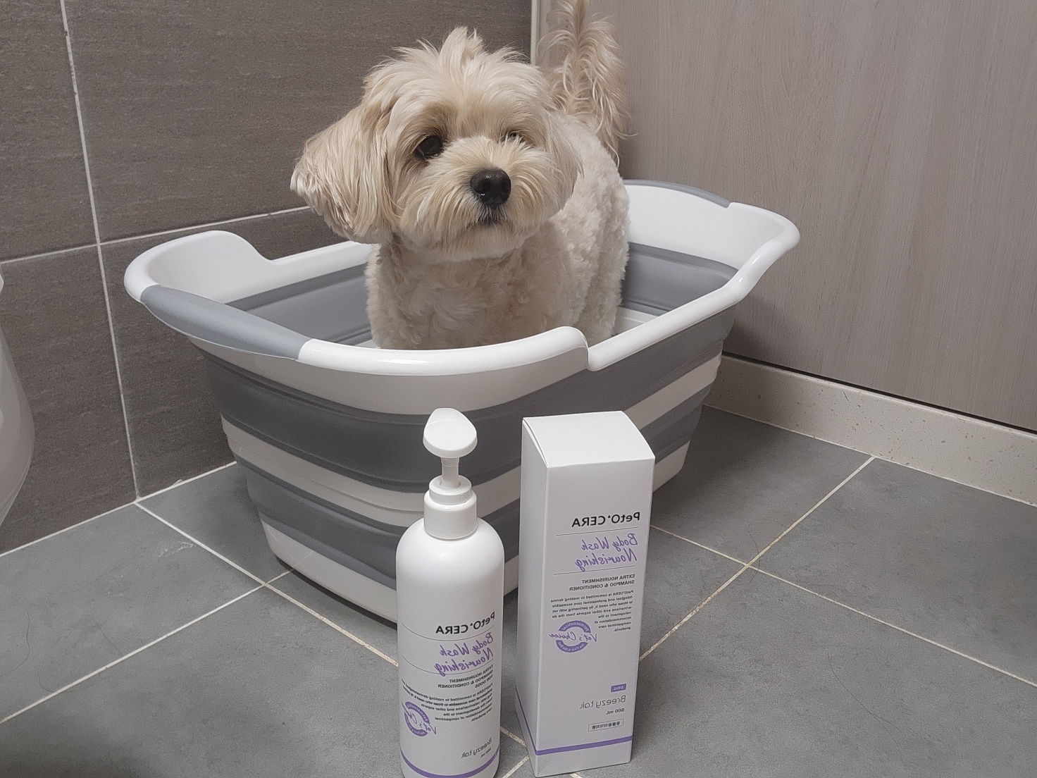 The Best Dog Shampoo for Dry, Itchy Skin: A Real-Life Test and Honest Review